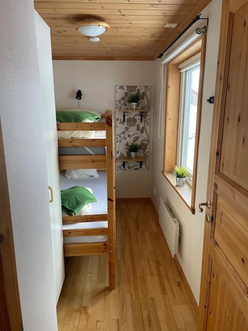 Cabin In Bruksvallarna Экстерьер фото